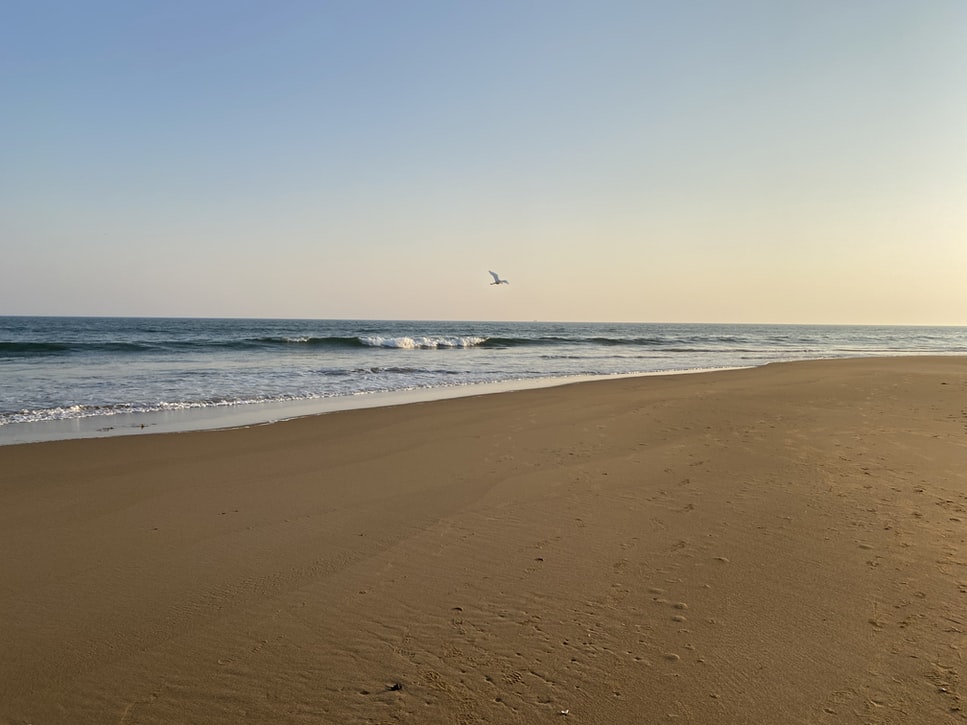 puri