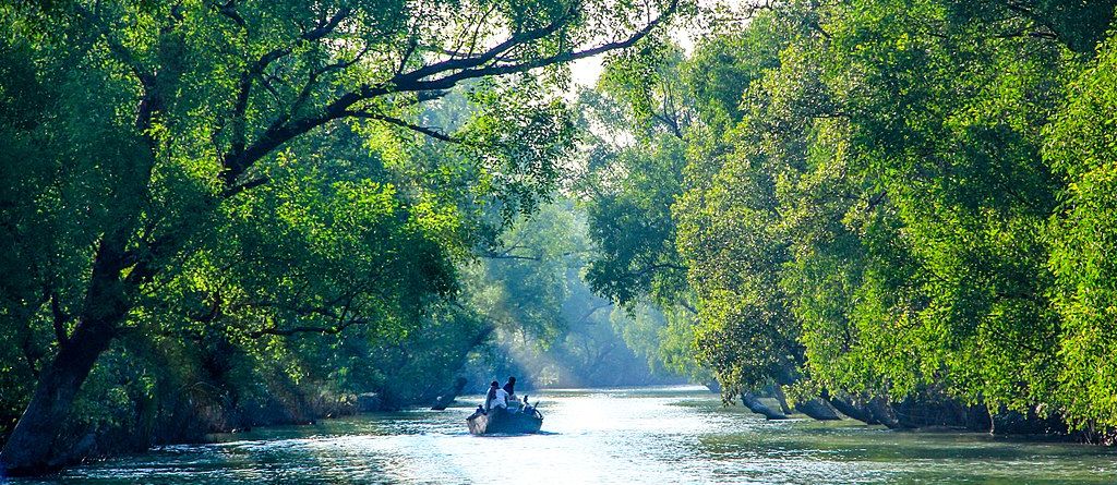 Sundarban